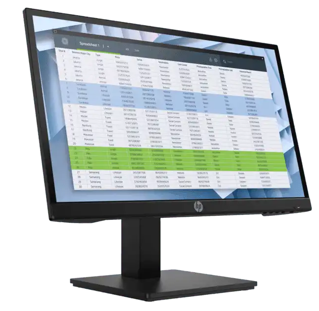 HP ProDisplay P22h G4 22" FHD Adjustable Monitor