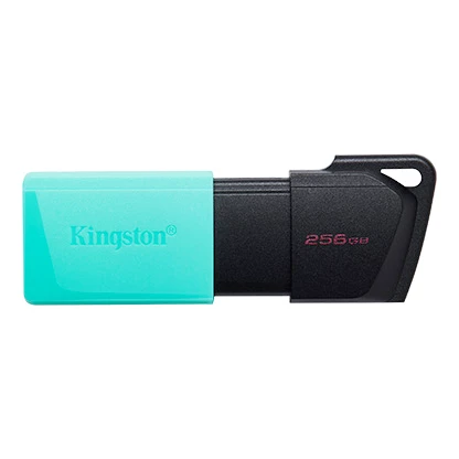 Kingston DataTraveler Exodia M 256Gb USB 3.2 隨身碟 #DTXM/256gb