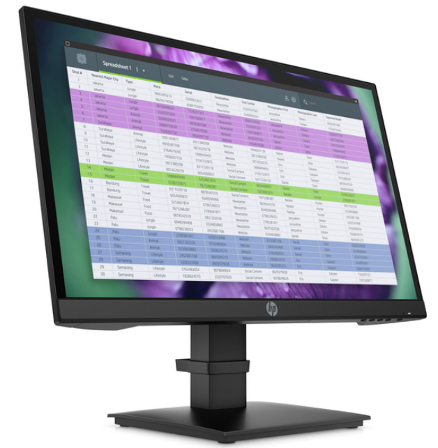 HP ProDisplay P22 G4 22" FHD iPS Monitor