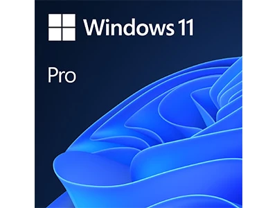 Microsoft Windows 11 Professional (Digital Download Version)  #FQC-10572