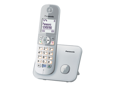 Panasonic KX-TG6811 DECT Phone (Silver)