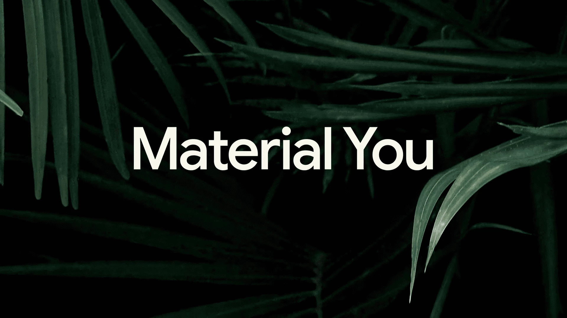 Material You