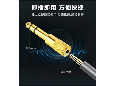 6.5mm-Male to 3.5mm-Female Audio Adapter #JH-S310