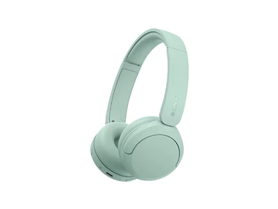 Sony WH-CH530 Stereo Wireless HeadPhone - BT w/Mic (Mint) #WH-CH530/GC